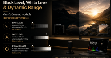 Black Level White Level และ Dynamic Range สำหรับ Video Calibration