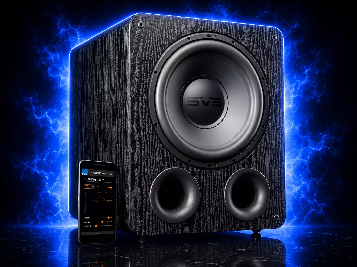 SVS PB-2000 Pro ซับวูฟเฟอร์ Ported 12 นิ้ว